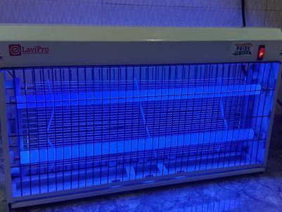 LaviPro Energy Efficient Electric Insect Killer Machine with Safety Grid | Mosquito & Fly Zapper